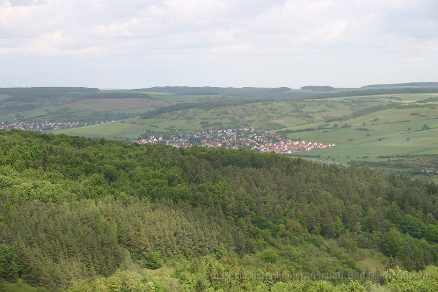 IMG00236