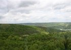 IMG00237