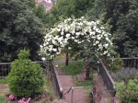 Klostergarten 3