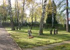 IMG 3991