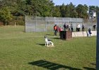 IMG 3929