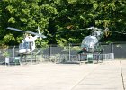 IMG 3948