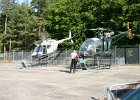 IMG 3950