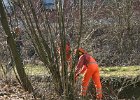 IMG 4149 1