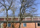 IMG 4150 1