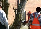 IMG 4155 1