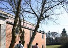 IMG 4156 1