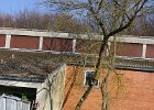 IMG 4166 1