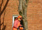 IMG 4173 1