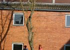 IMG 4177 1