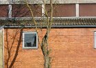 IMG 4178 1
