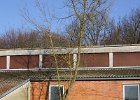 IMG 4182 1