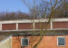 IMG 4184 1