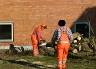 IMG 4186 1