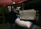 IMG 4122
