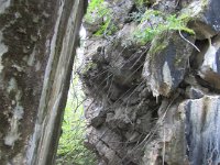 Wolfsschanze-18